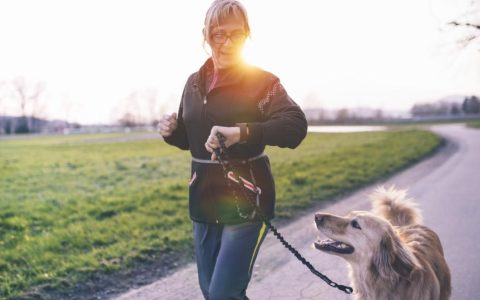 Dog Arthritis Treatment: How To Help a Dog With Arthritis