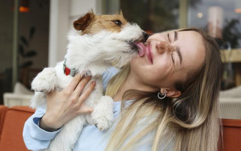 Why Do Dogs Lick Your Face?