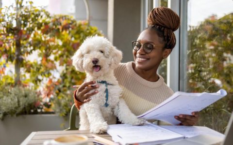 How to Read a Dog's Body Language