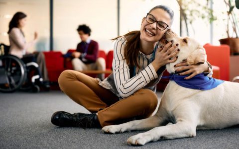 How to Train Your Dog for the Canine Good Citizen Test