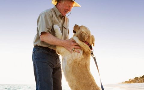 You’re Not a Bad Pet Parent If Your Dog Jumps on People